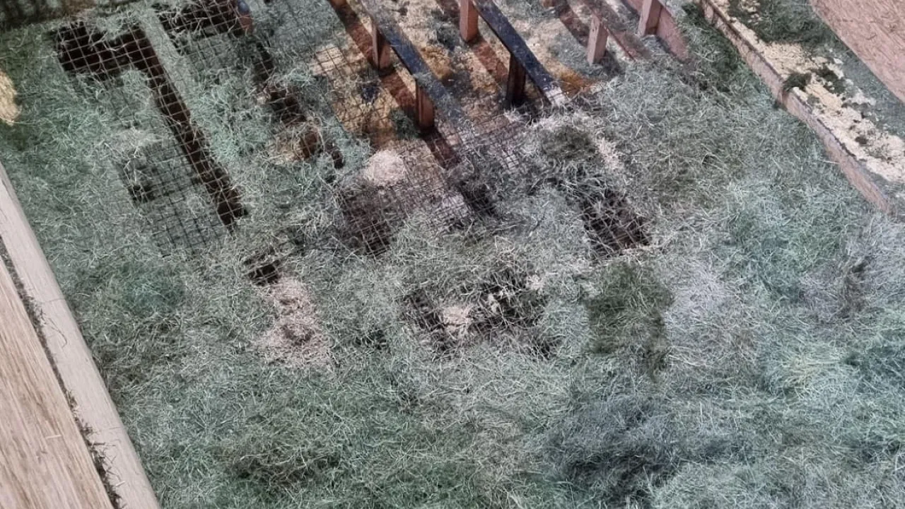 a5ec97aa098d46dd85ab0df4f4f45c25.jpeg